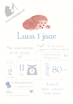 Mijlpalenposter